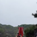 노홍섭 Daum카페