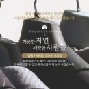 튤립세탁소 이미지