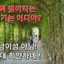 떡풍경