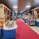 토이캐슬 이미지