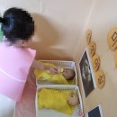 지현약국 네이버블로그