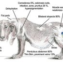 강앤정 동물병원 이미지
