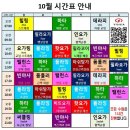 빈야사요가 초급반 이미지