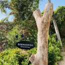 죽로원게스트하우스 이미지