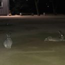 우리동네 헬스장 이미지