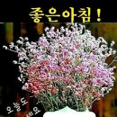 하루파출 이미지