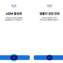 주식회사 E G | 싱가포르 여행 준비물 리스트 필수 항목 샤워기 샤워 필터와 멀티 어댑터는 고정!