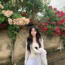 [ review ] Leeds Sophie v-neck tee 리즈샵 소피넥 베이지 후기