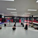 다부진 합기도 이미지