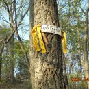 대정1리 이미지