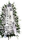차곡리 Daum카페