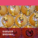 골목청과 이미지
