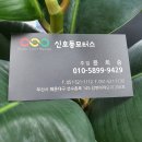 선수촌로 145 네이버블로그