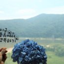 금강수목원(아) 이미지
