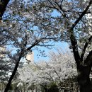 소금밭 교차로 3 이미지