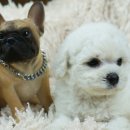 동광건설기계 이미지