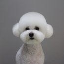 멍분의 멍 이미지