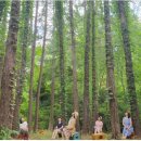 놀숲농원 이미지