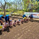 한빛유치원 이미지