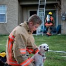 미소커뮤니케이션 이미지