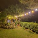 해뜨는펜션민박 이미지