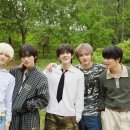 착실이네 이미지