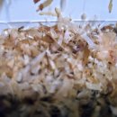 타코비 망미점 이미지