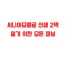 (재단)출입국관리협회 | 시니어모델로 인생 2막 열기 위한 모든 정보