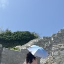 가벼운 초경량 양산 라디브 우양산 후기