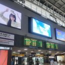 다산 택시승강장 | 2025 홍콩 여행 후기