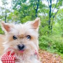 신통방통 동물병원 이미지