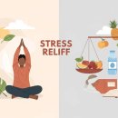 건강하고 행복한 일상을 위한 스트레스 & 우울감 긍정 관리법 | 일상 속 스트레스 이기는 법 : 5가지 실천 전략과 루틴으로 평온을 찾는 법