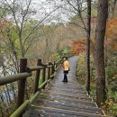 영암기찬랜드 이미지