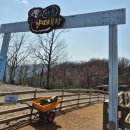 봄봄성인오락실 | 소노벨(구 대명)비발디파크 방문기~(내돈내산 + 이용 Tip!)