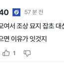 가담