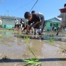 양덕분교 이미지