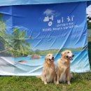 양양조규승가옥 이미지