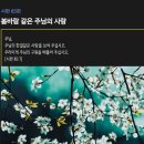 [시편 85편] 봄바람 같은 주님의 사랑 이미지