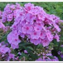 이방초등학교 이미지