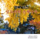 포은유물관 이미지