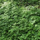 윤자농장 이미지