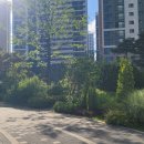 고려리치공인중개사사무소 이미지