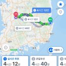 나홀로 울릉도 백패킹(4)[완] - 울렁울렁 울렁대는 울릉도 감상문