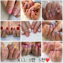 네일셀리나 이미지