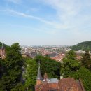 김성수행정사 이미지