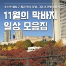 성동오토미션 | 11월 초겨울 일상과 연말 마음가짐