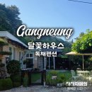 달꽃 | 아이와 함께하는 강릉여행 숙소추천 달꽃하우스 애견동반가능 내돈내산후기