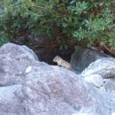 용소계곡 입구 화장실 | 경기도 가평 수심깊은 계곡 도대리 용소폭포 다이빙 스노클링 샤워 주차