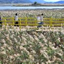 펜션33.3 이미지