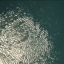 상승도장 이미지